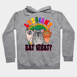 LGBT Lesbian Eat What Cat Busy Gift For Men Women Lgbt Hoodie